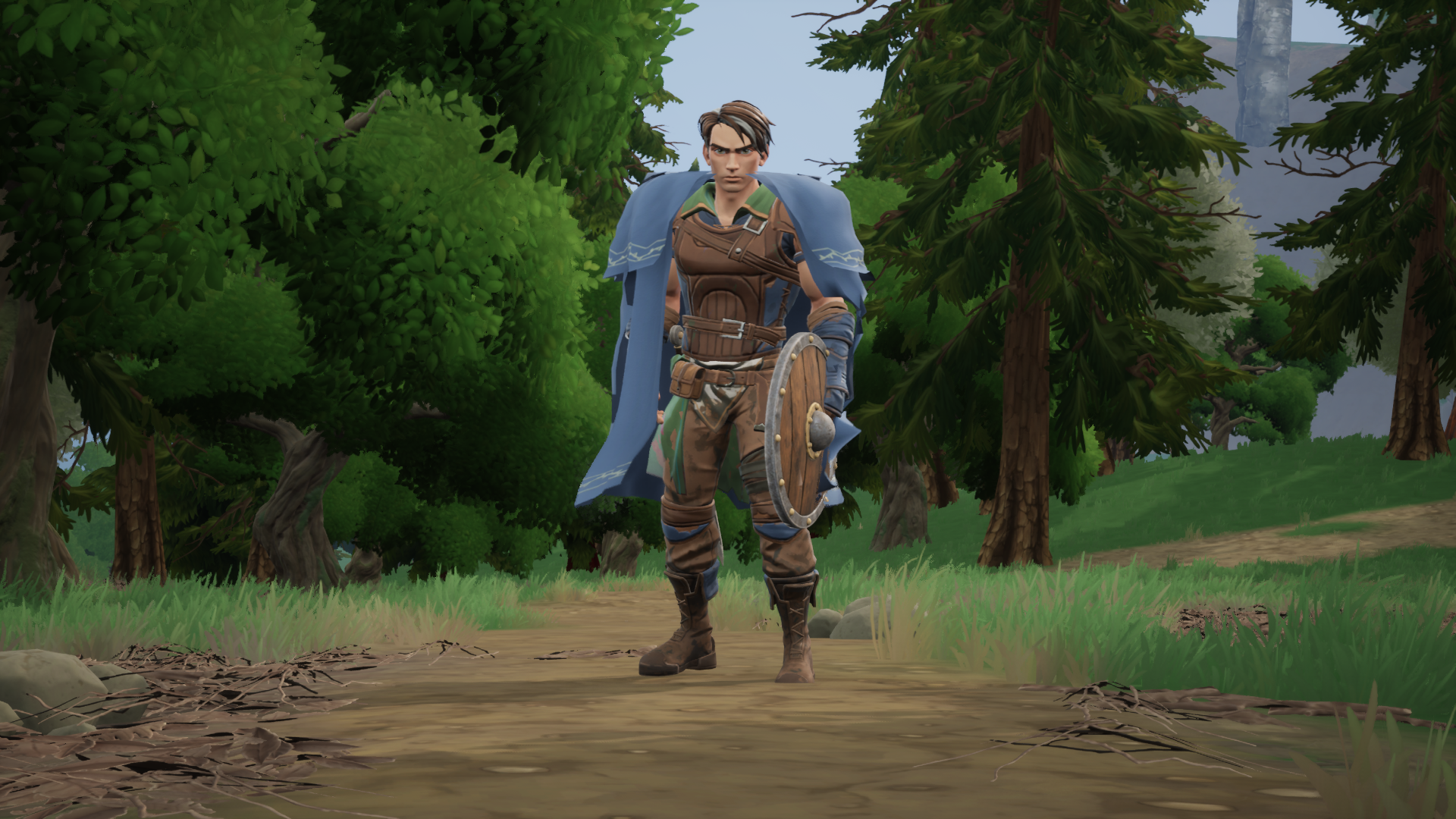 The hero standing on a forest path, cloak over his shoulders